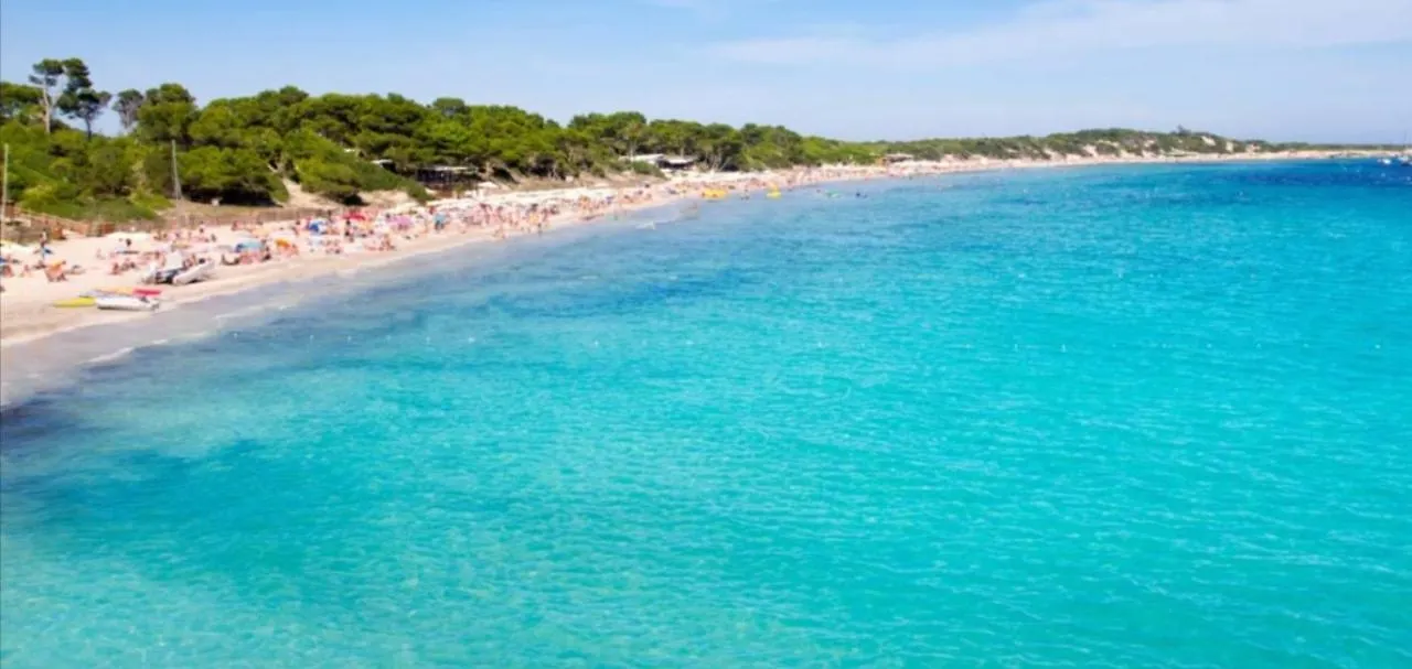 Sant Jordi de ses Salines Can Garchet White Ibiza